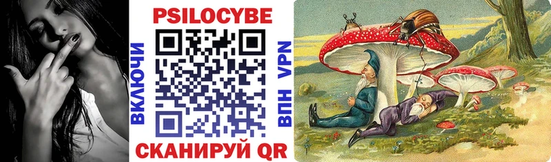 kraken как войти  Кимовск  Галлюциногенные грибы мухоморы  купить  