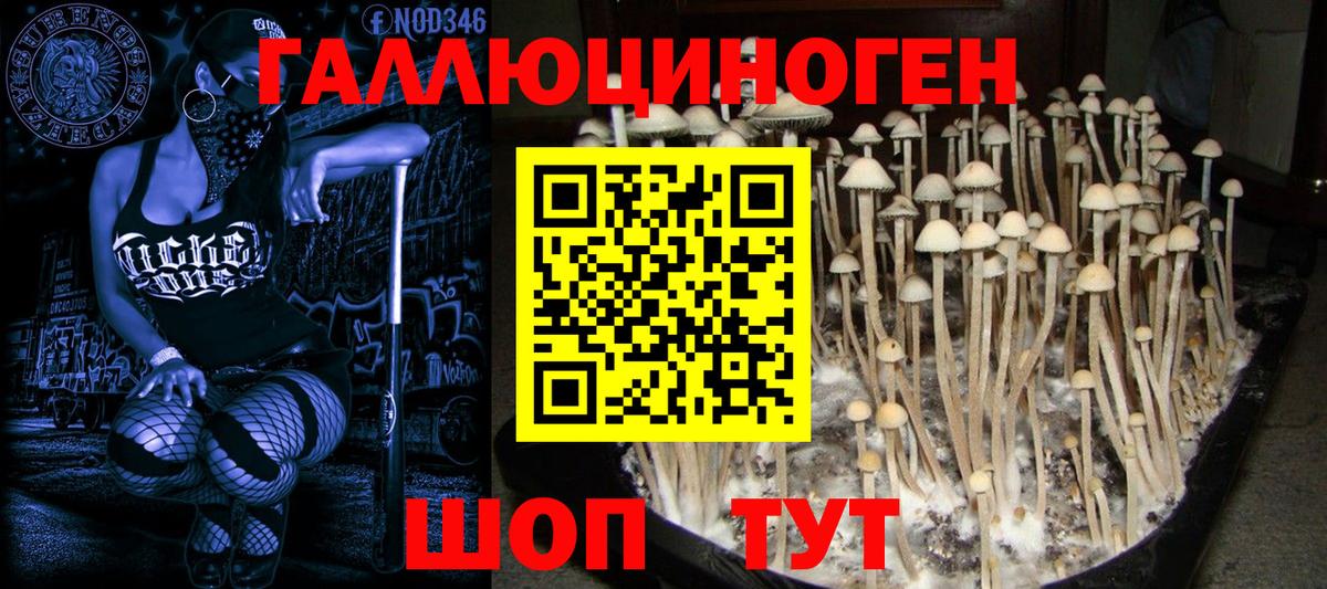 Галлюциногенные грибы Magic Shrooms  Вход с VPN  хочу   Кимовск 